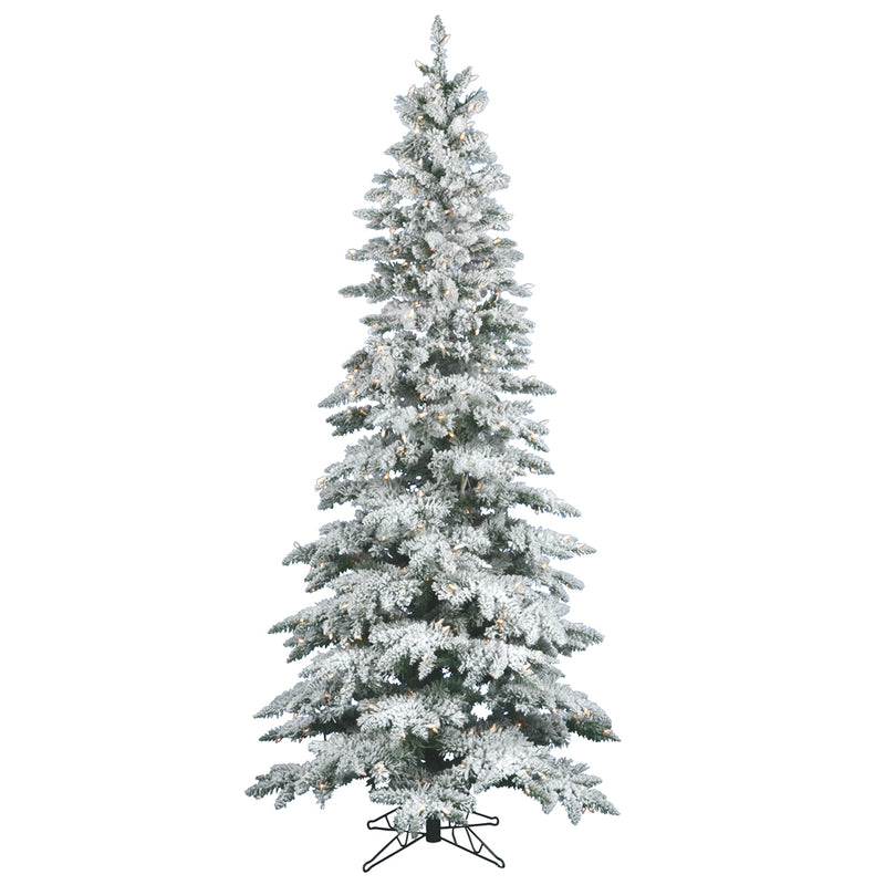 Flocked Utica Fir