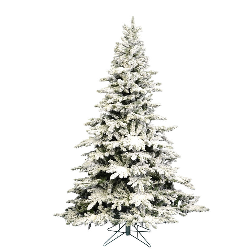 Flocked Utica Fir