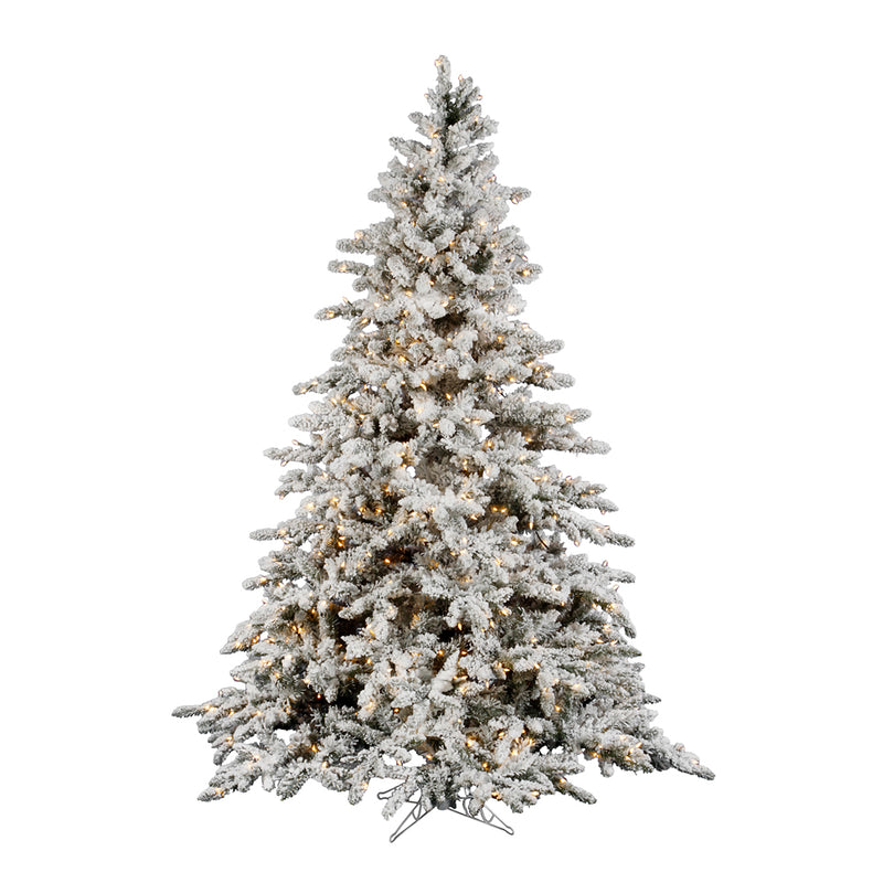 Flocked Utica Fir