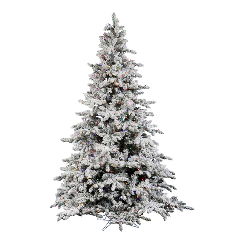 Flocked Utica Fir