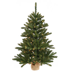 Anoka Pine