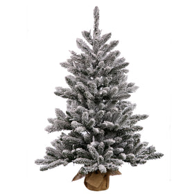 Flocked Anoka Pine