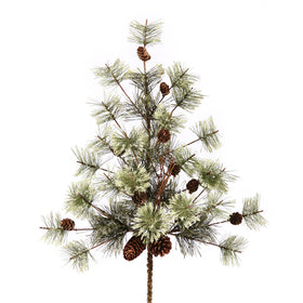 Dakota Pine