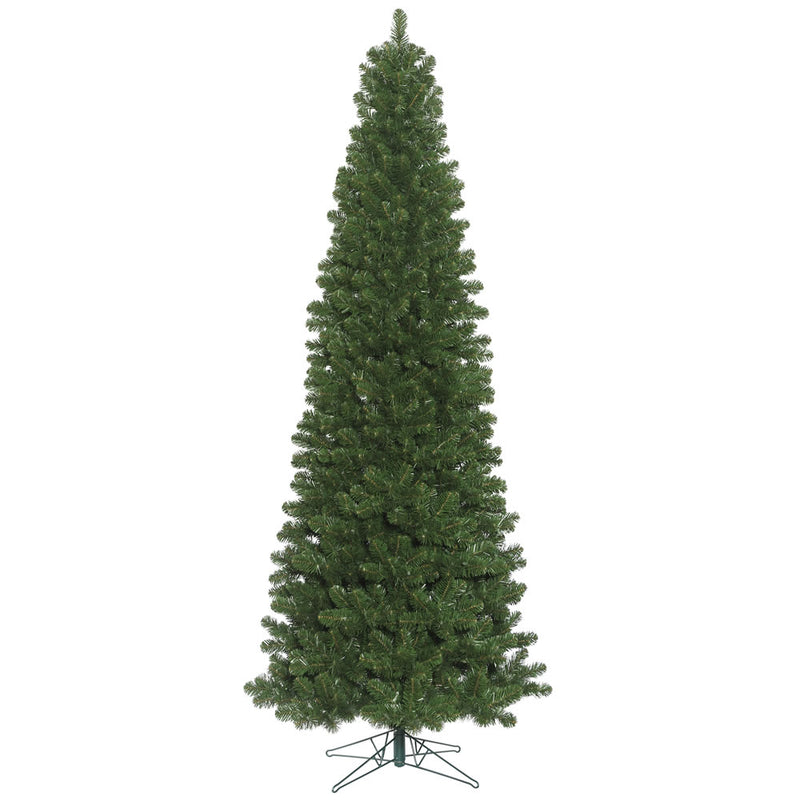 Oregon Fir