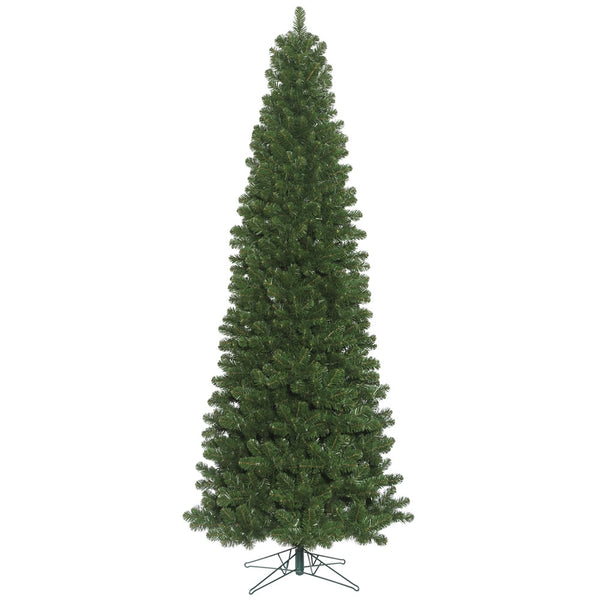 16' x 73" Oregon Fir Slim 5856T