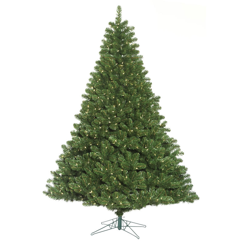 Oregon Fir