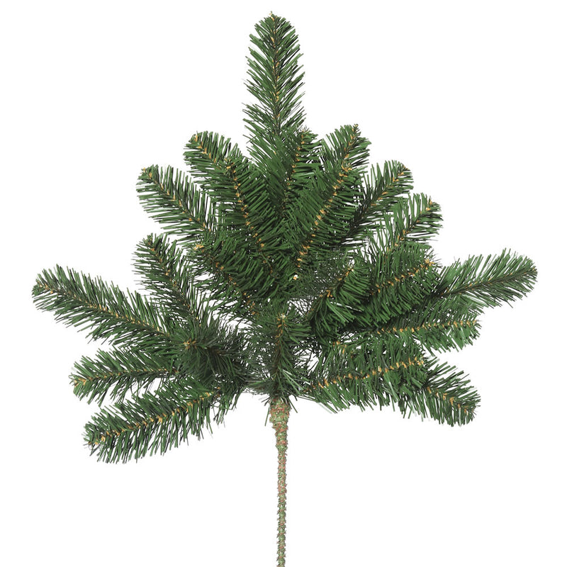 Oregon Fir