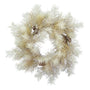a sample image