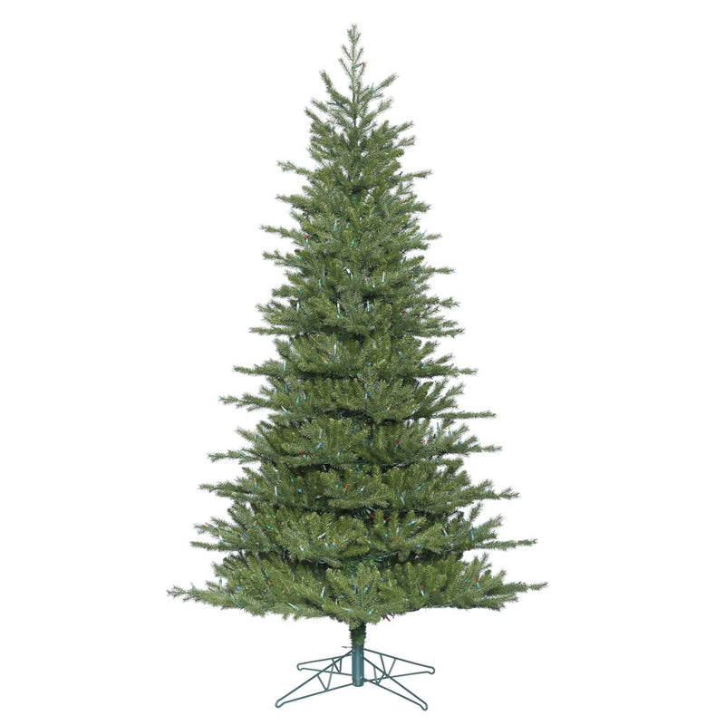 Eastern Frasier Fir