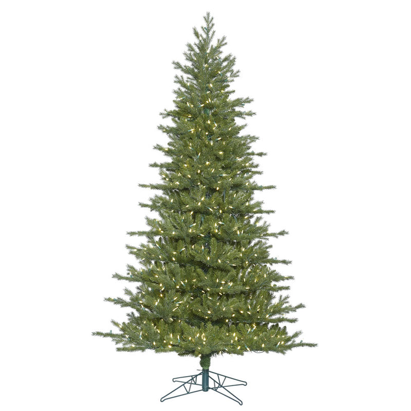 Eastern Frasier Fir