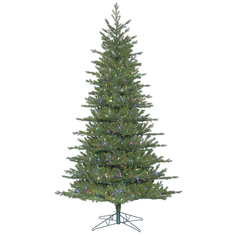 Eastern Frasier Fir