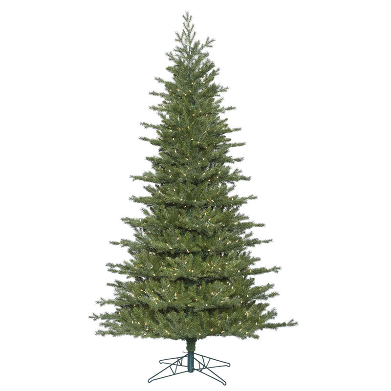 Eastern Frasier Fir