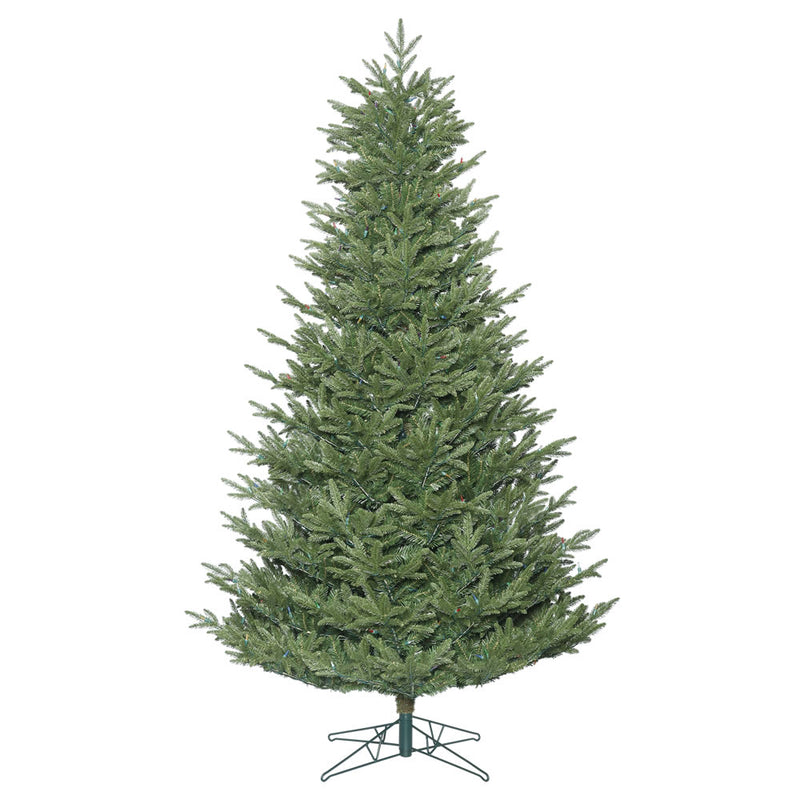 Deluxe Frasier Fir