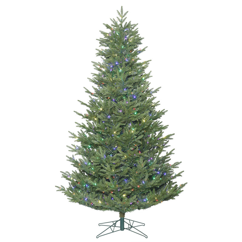 Deluxe Frasier Fir