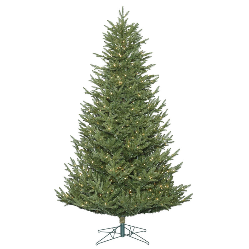 Deluxe Frasier Fir