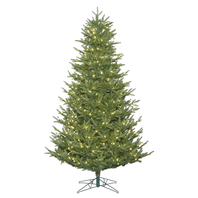 Deluxe Frasier Fir