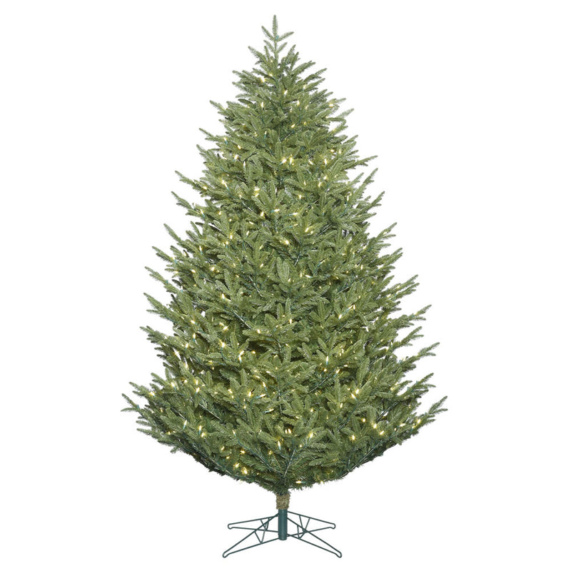 Deluxe Frasier Fir