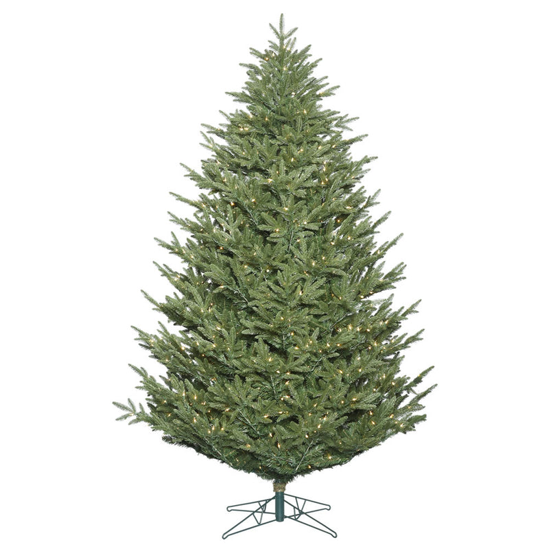 Deluxe Frasier Fir