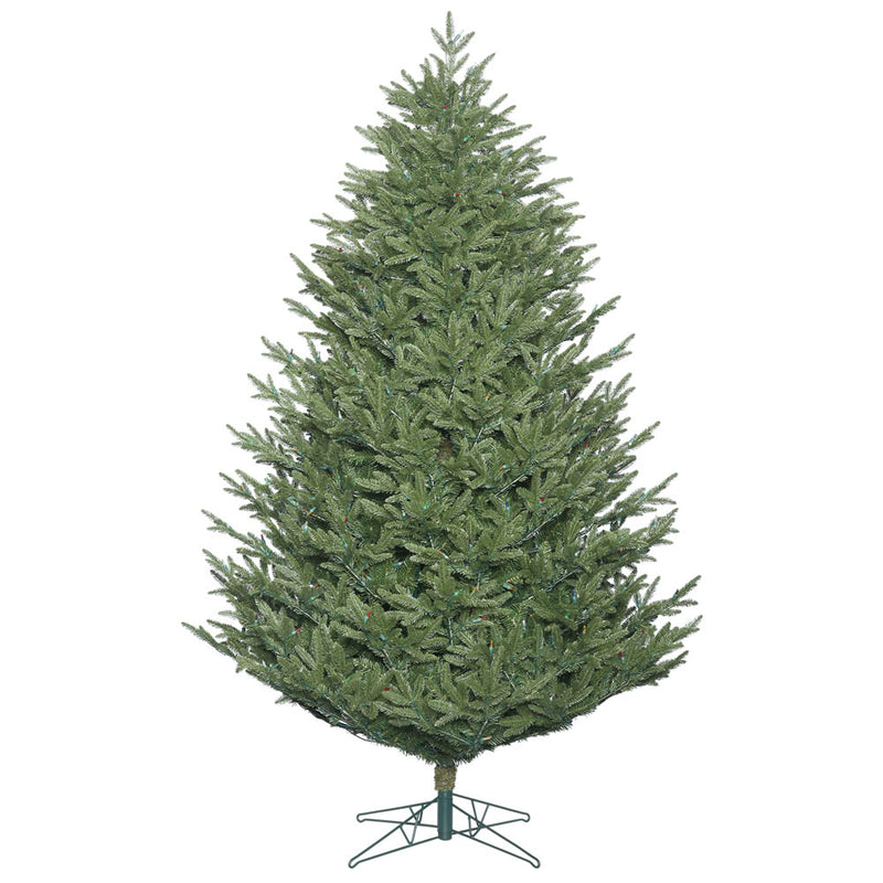 Deluxe Frasier Fir