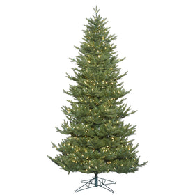 Hawthorne Frasier Fir