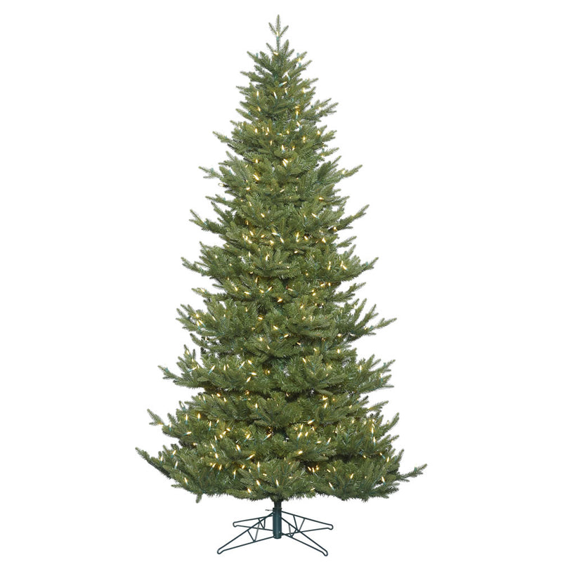 Hawthorne Frasier Fir