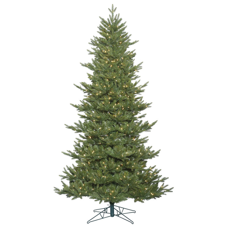 Hawthorne Frasier Fir