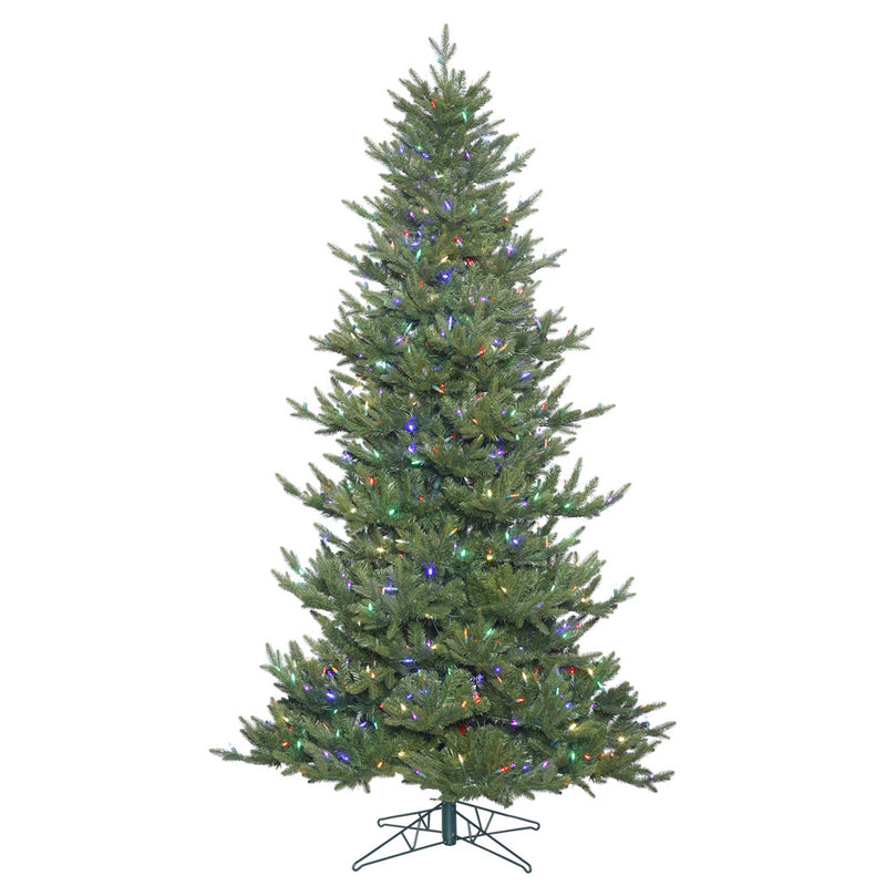 Hawthorne Frasier Fir