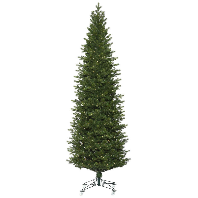 Eagle Frasier Fir