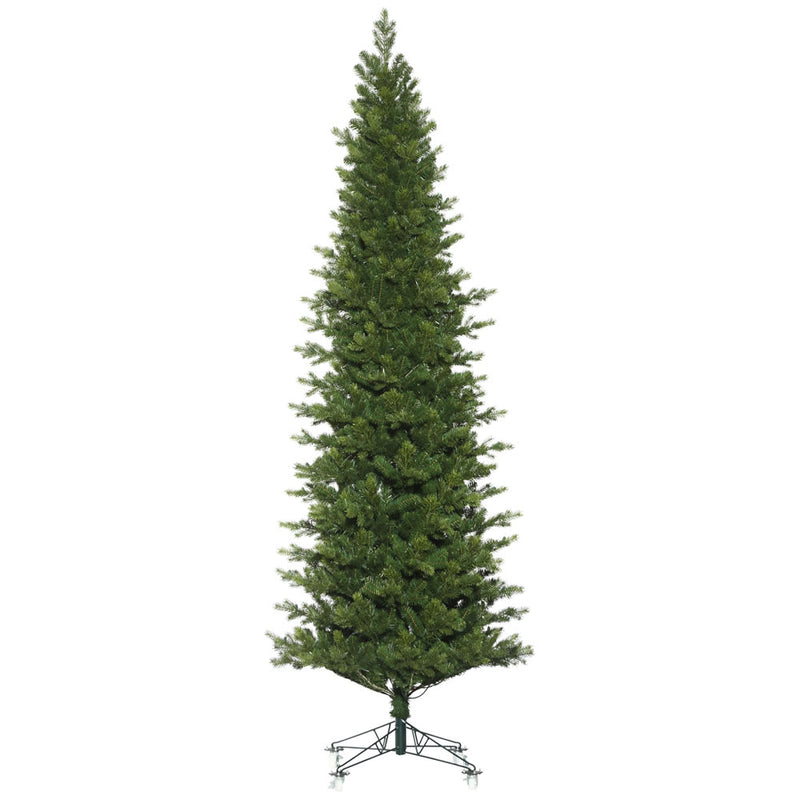 Eagle Frasier Fir