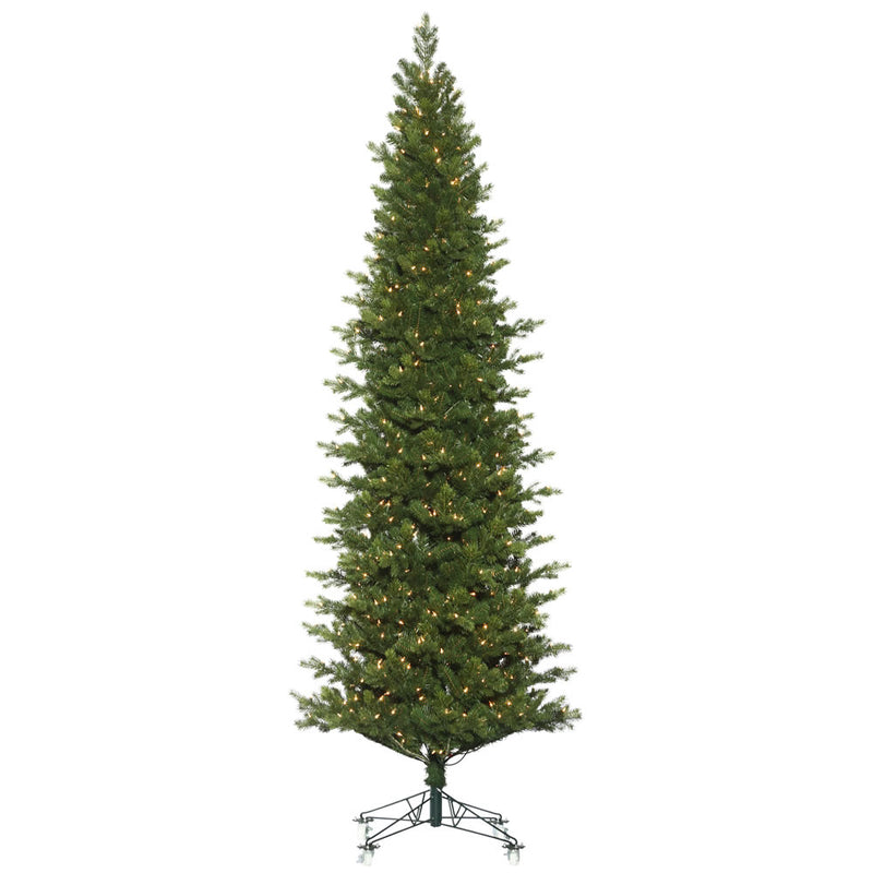 Eagle Frasier Fir