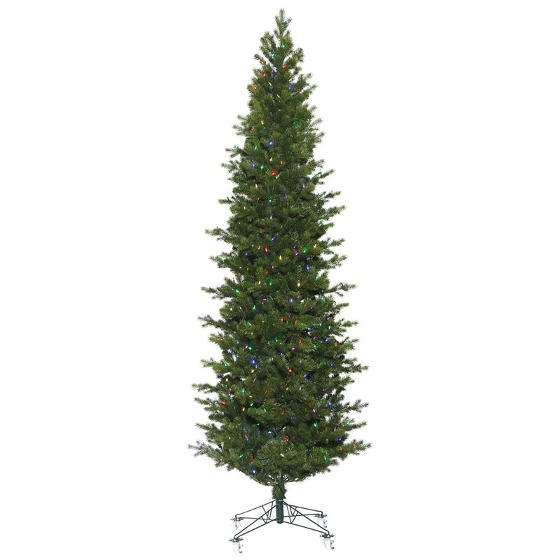 Eagle Frasier Fir