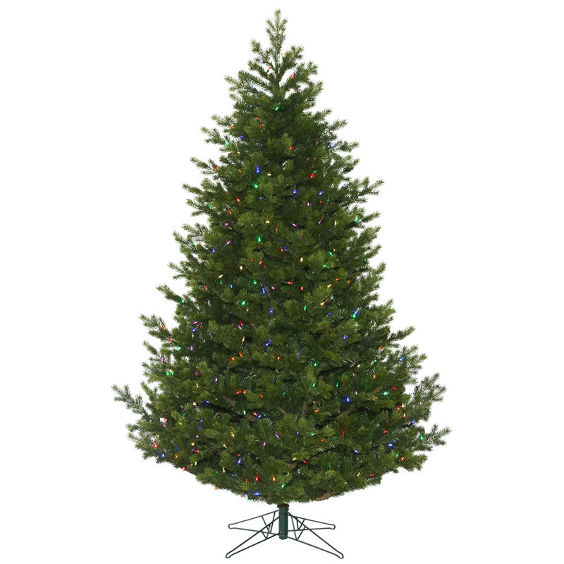 Eagle Frasier Fir