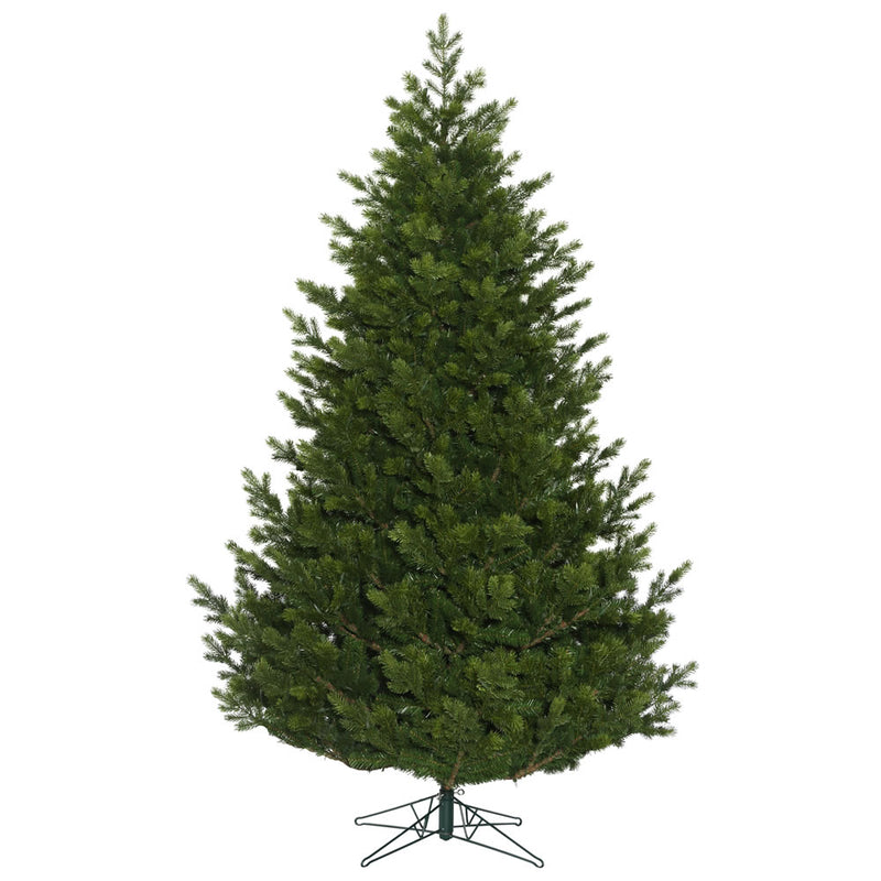 Eagle Frasier Fir