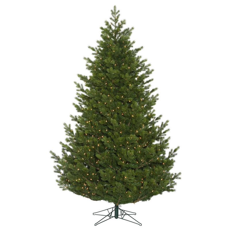 Eagle Frasier Fir