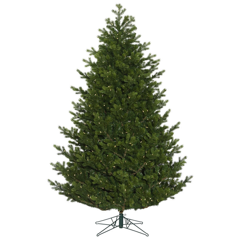 Eagle Frasier Fir