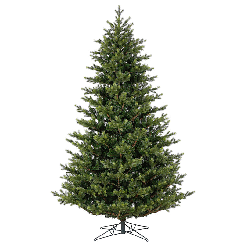 Welch Frasier Fir