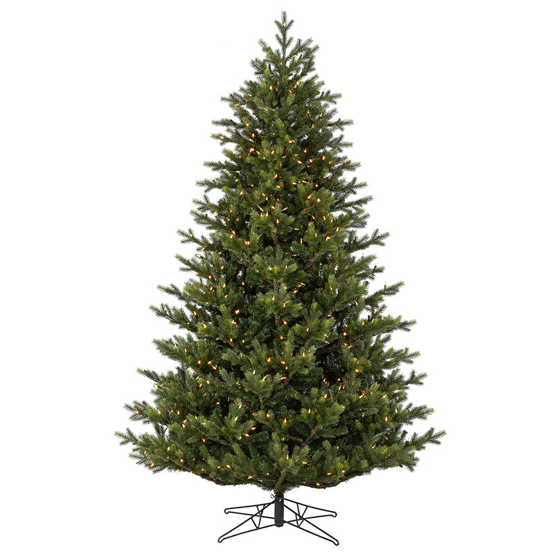 Welch Frasier Fir