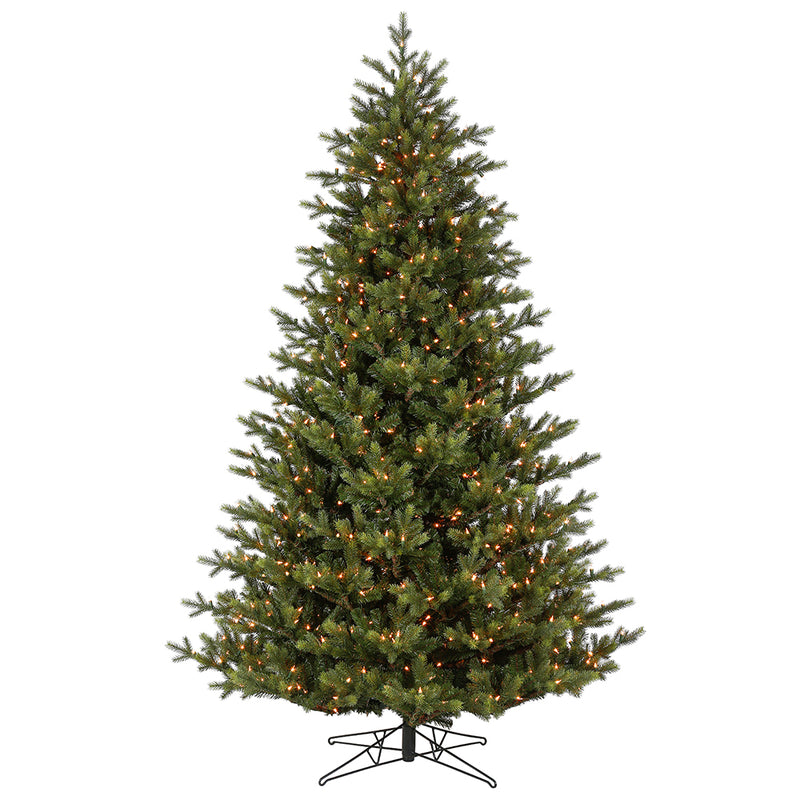 Welch Frasier Fir