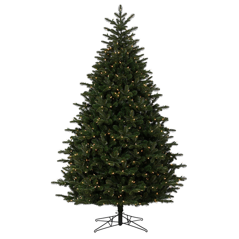 Summit Noble Fir