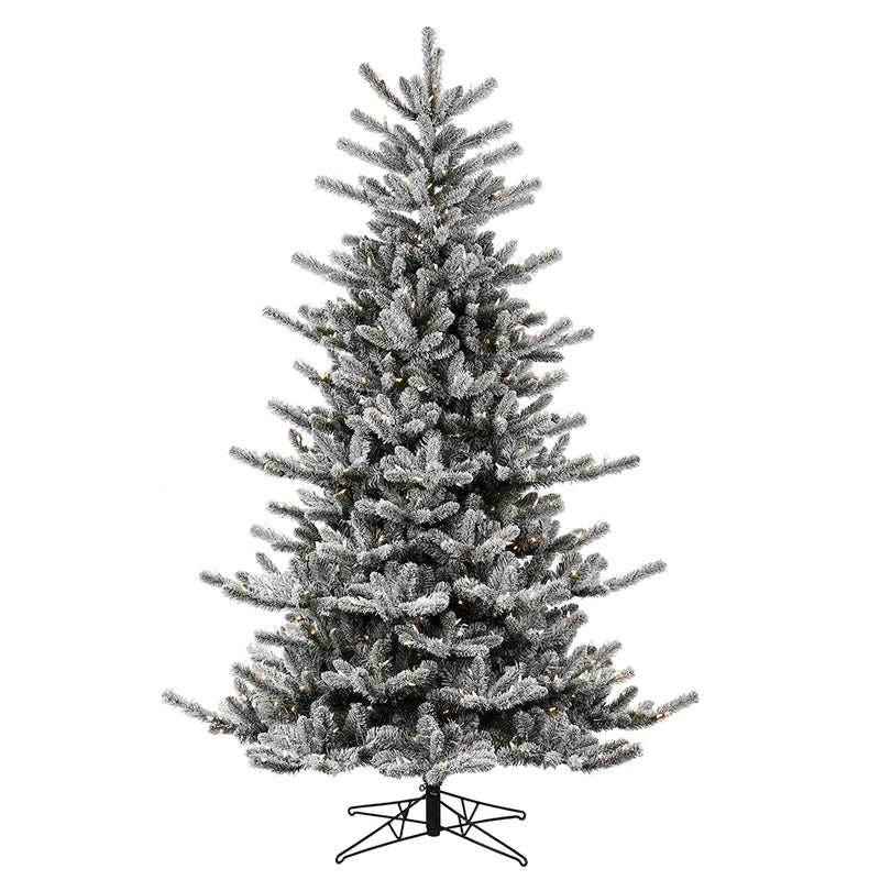 Frosted Decorator Pine