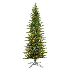 Moutauk Pencil Pine