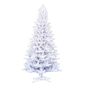 Shiny White Spruce