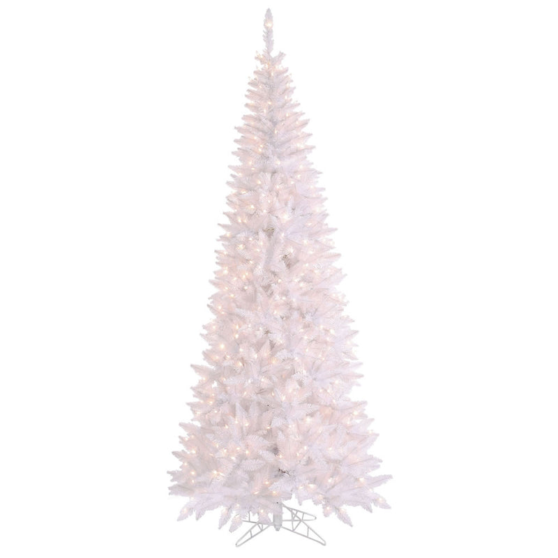 White Fir