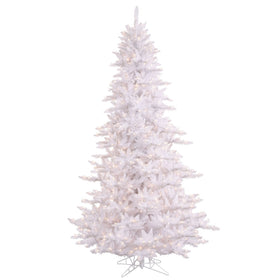 White Fir
