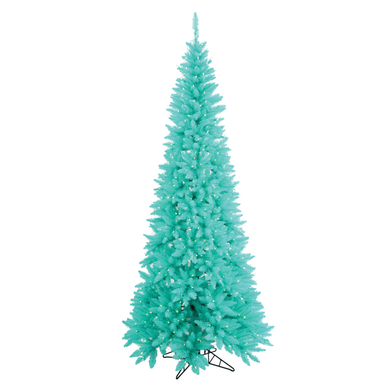 Aqua Fir