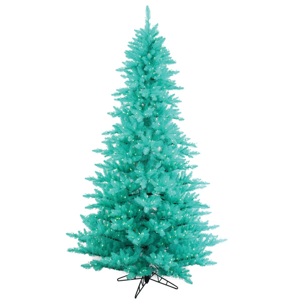 Aqua Fir