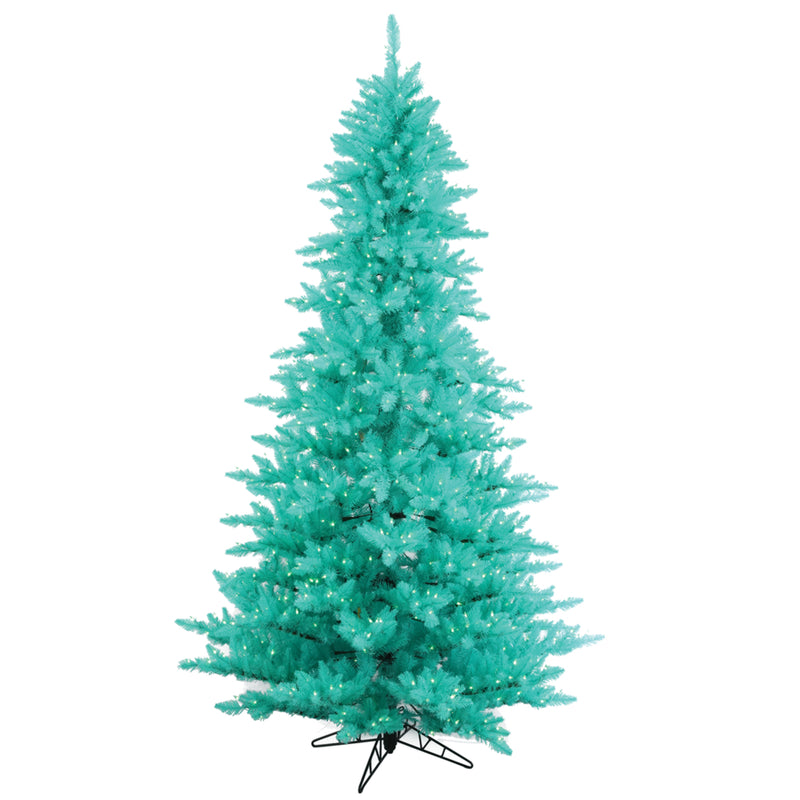 Aqua Fir