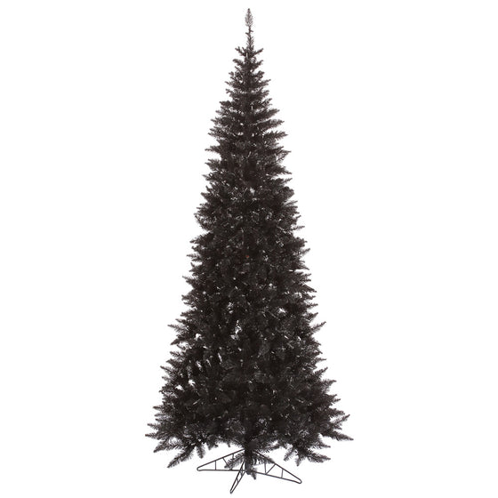 Black Fir