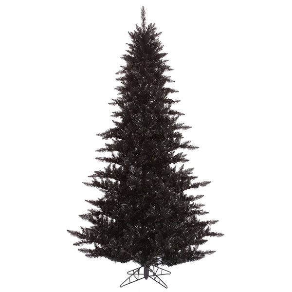 Black Fir