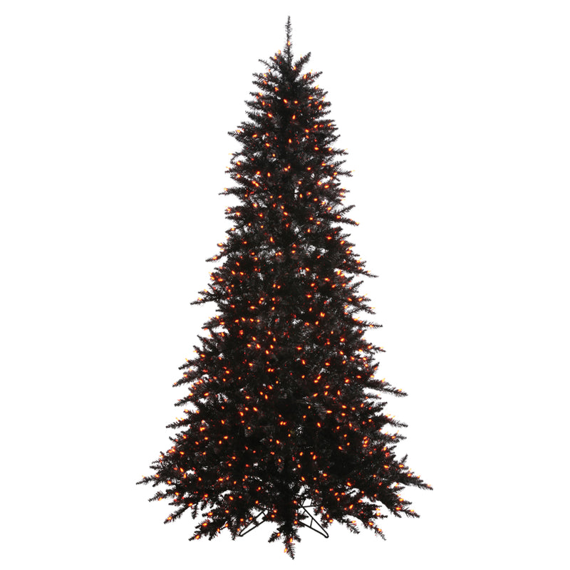 Black Fir with Orange Lights